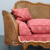 Antique Carved Sofa with Cane Sides , Czechoslovakia