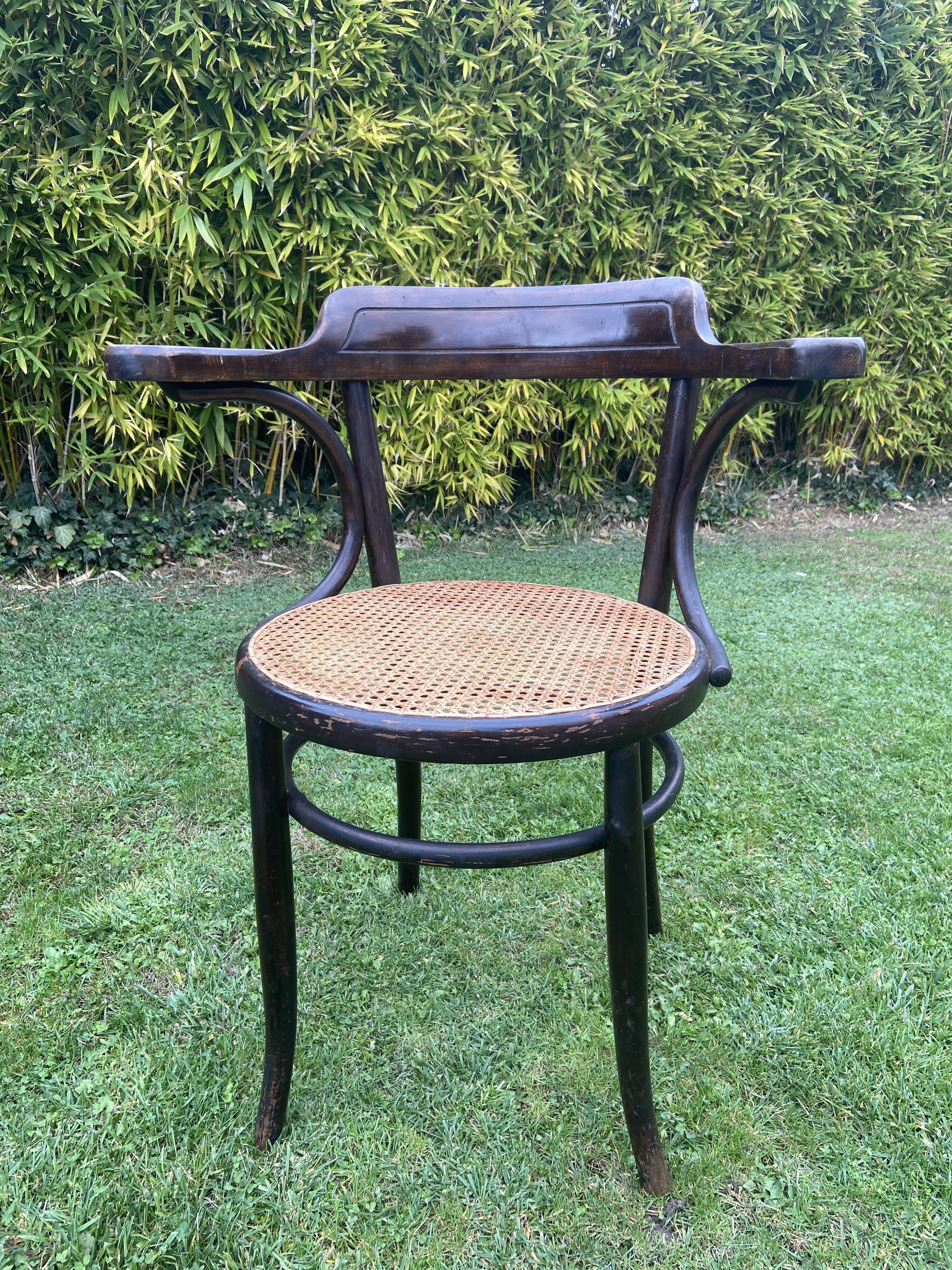 Viennese curved wood armchair FISCHEL circa 1920