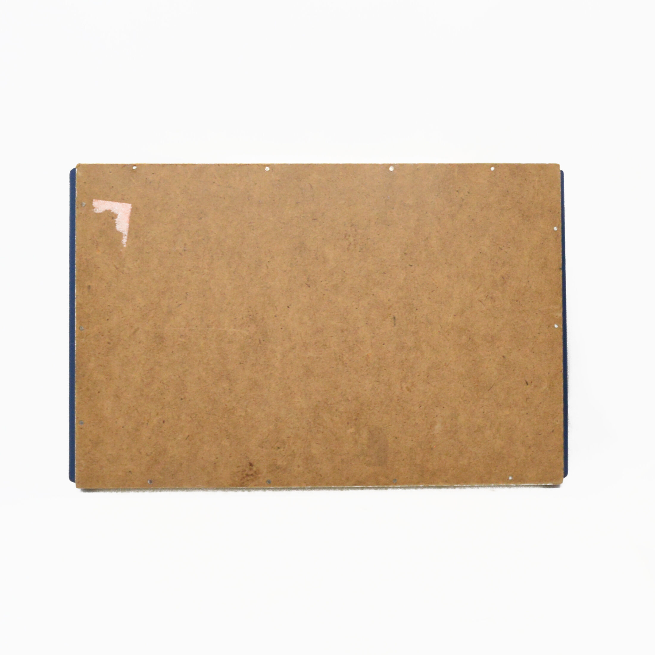 1960s mid-century modern tray, Holzsieb BT Wasungen, Germany