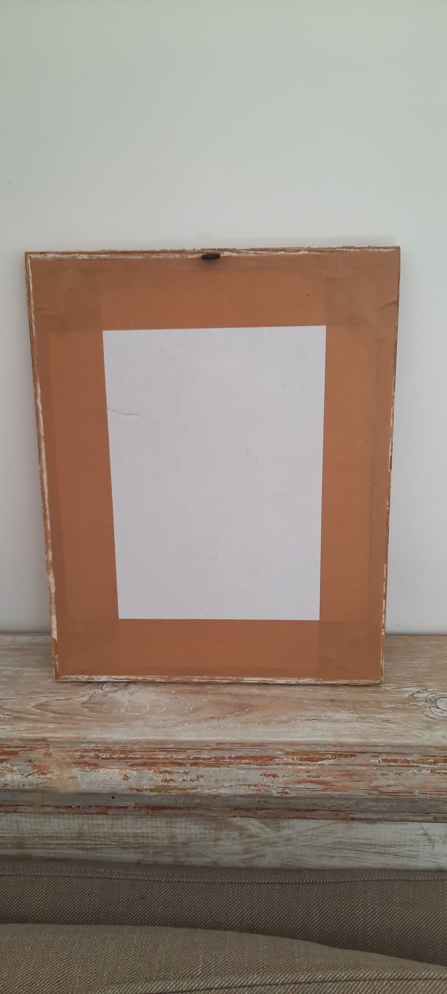 Old frame with botanical board