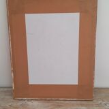 Old frame with botanical board