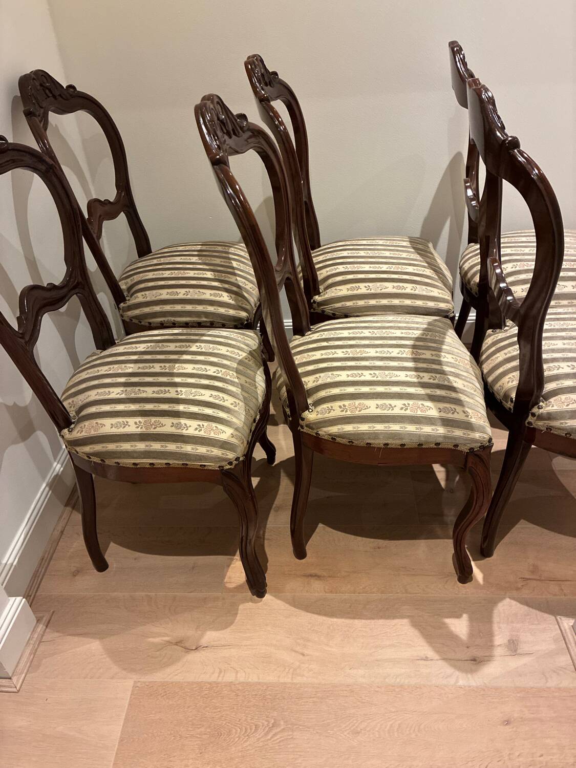 6 chairs mahony victorian chair