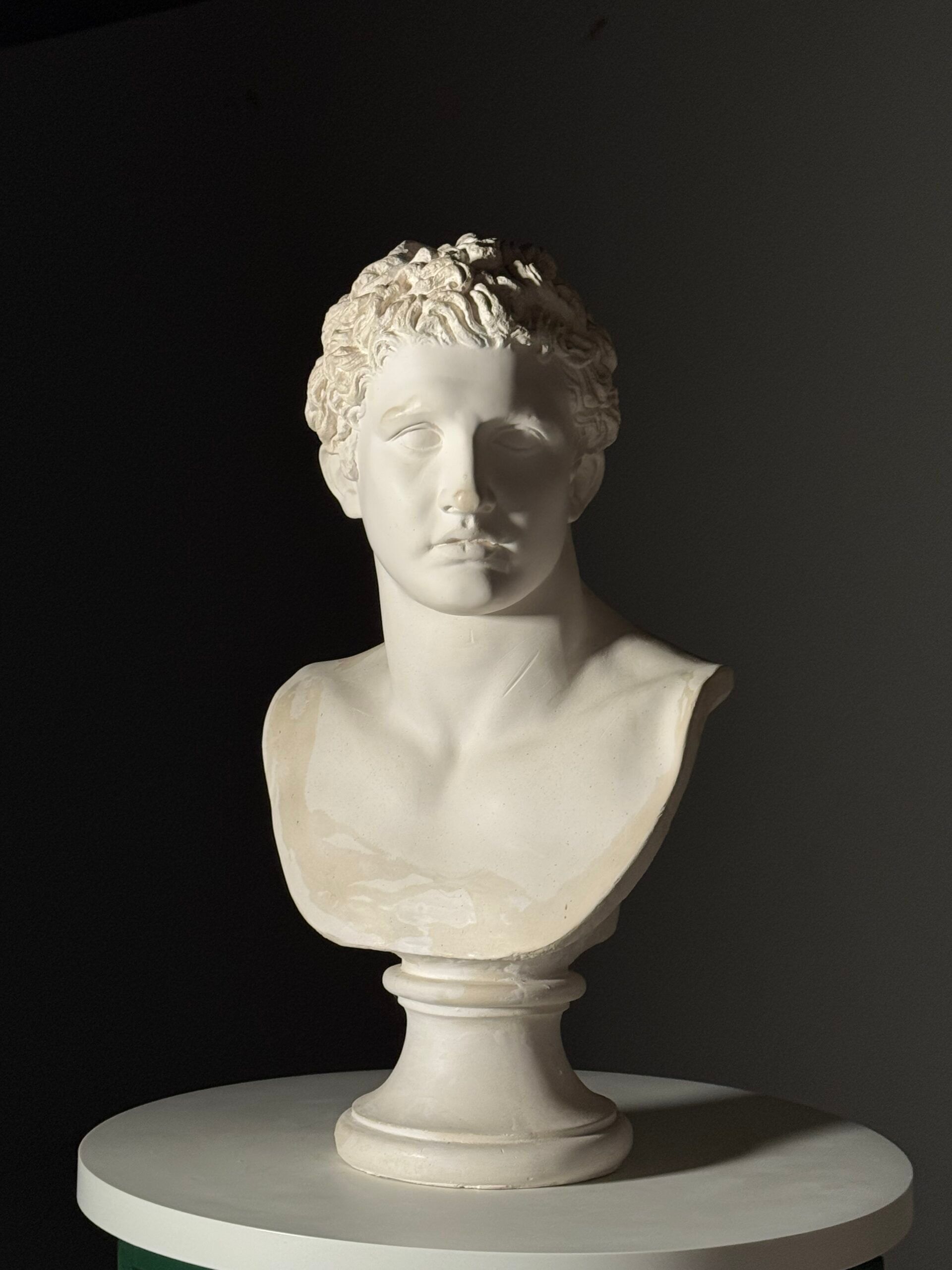 Bust of Meleager plaster classic
