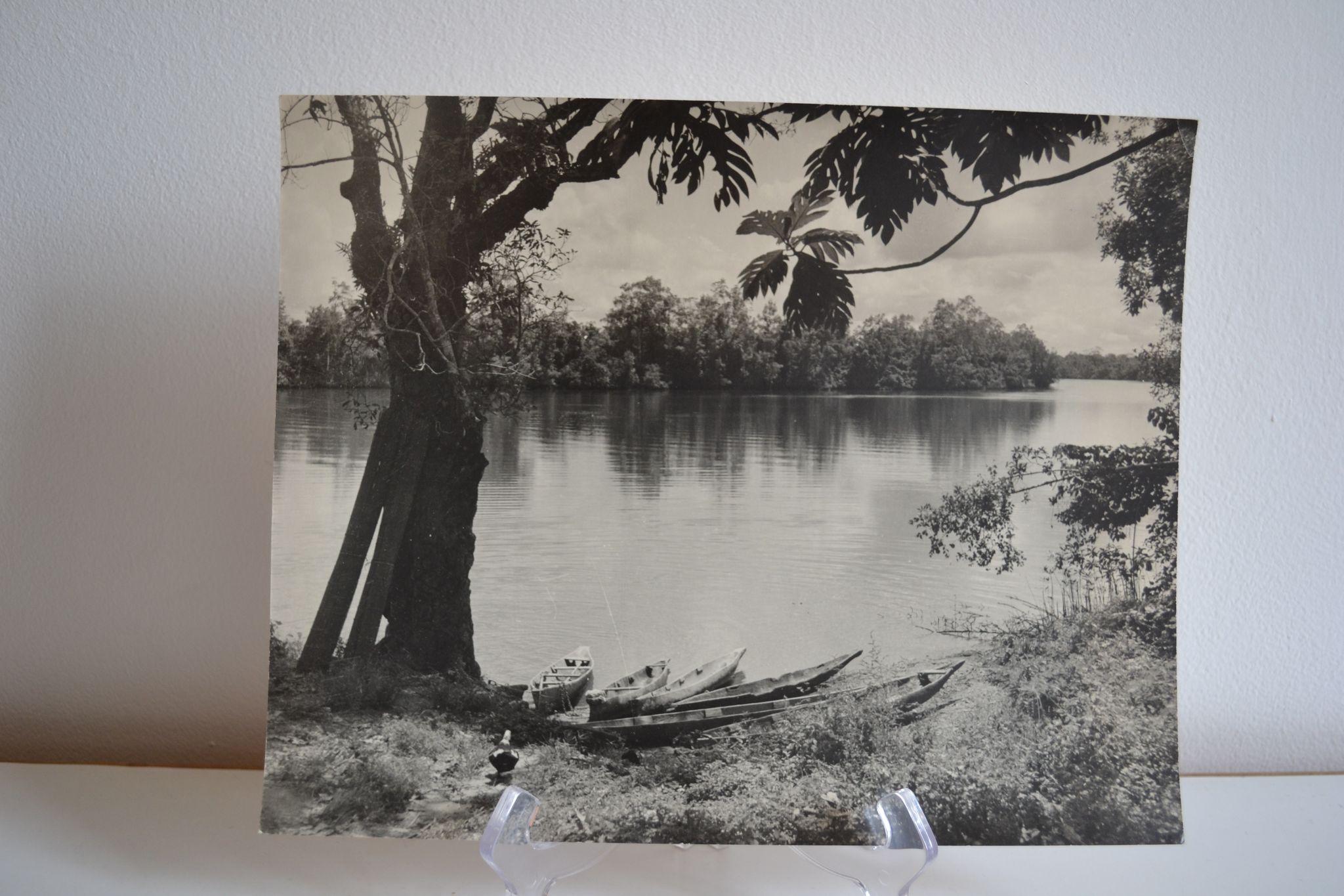 Photo argentique anonyme afrique gabon a vers 1970