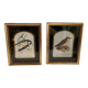Two vintage bird prints by David Andrews - Chickadee and Song Thrush