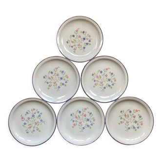 Flat plates mill wolves