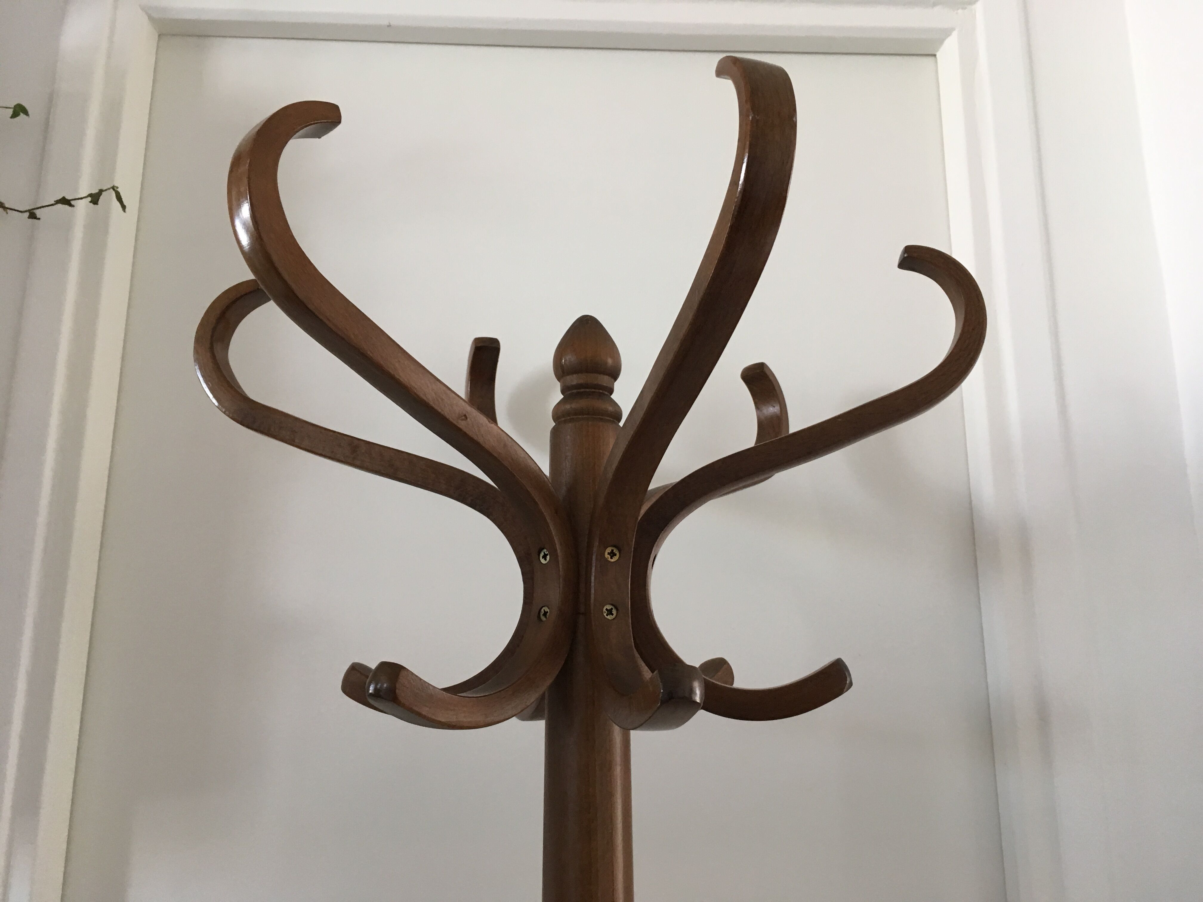 Baumann parrot coat hanger