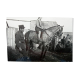 Original photograph from the 40s, Girl on horseback