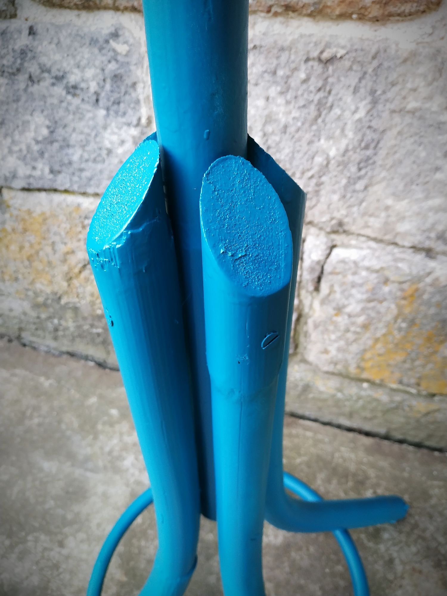 Painted parrot coats door