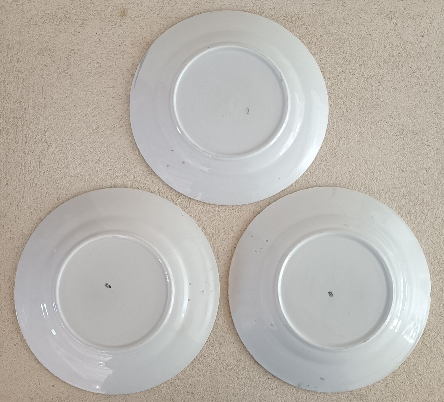 6 Saint Amand plates iris decor