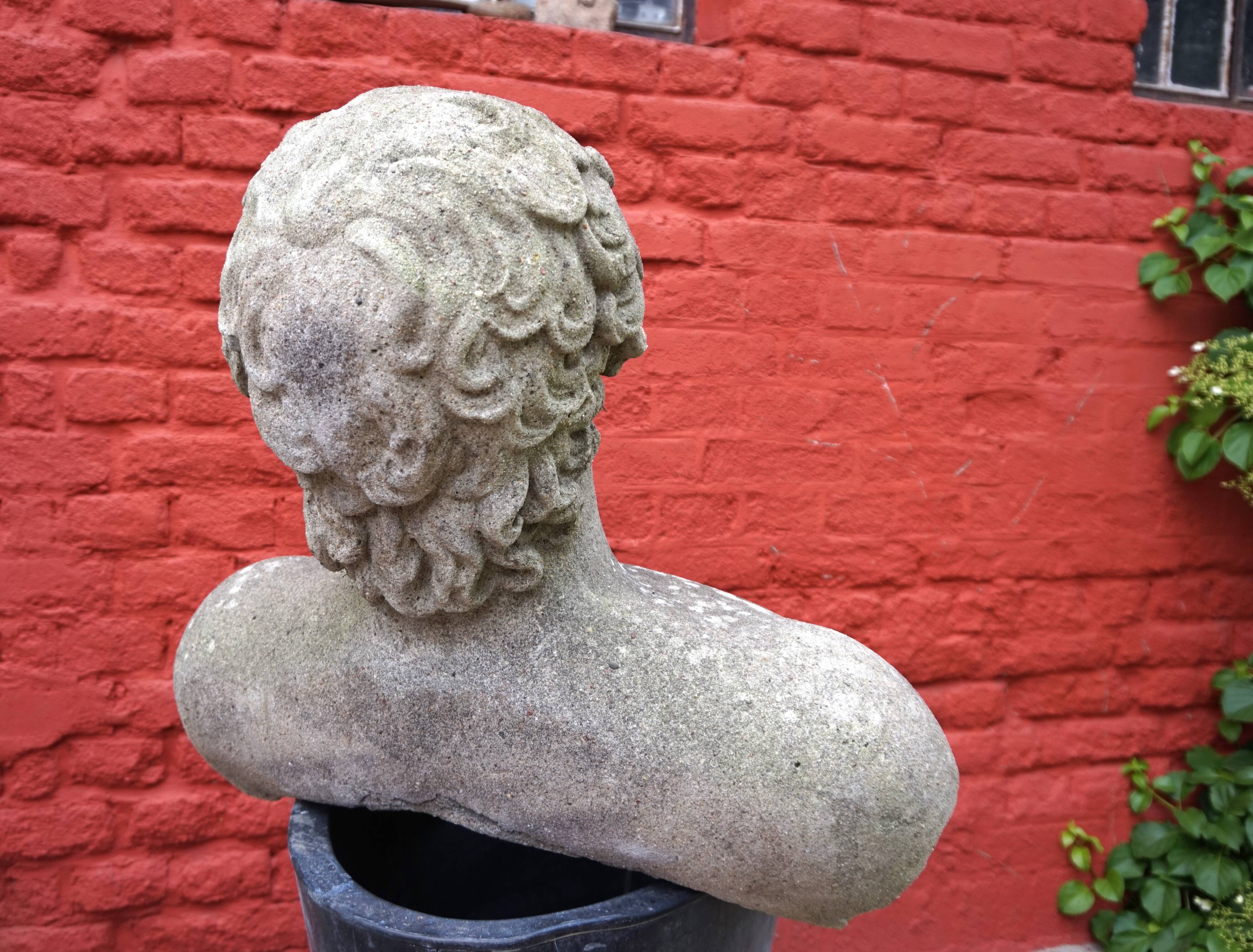 Weathered garden sculpture David concrete bust