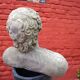Weathered garden sculpture David concrete bust