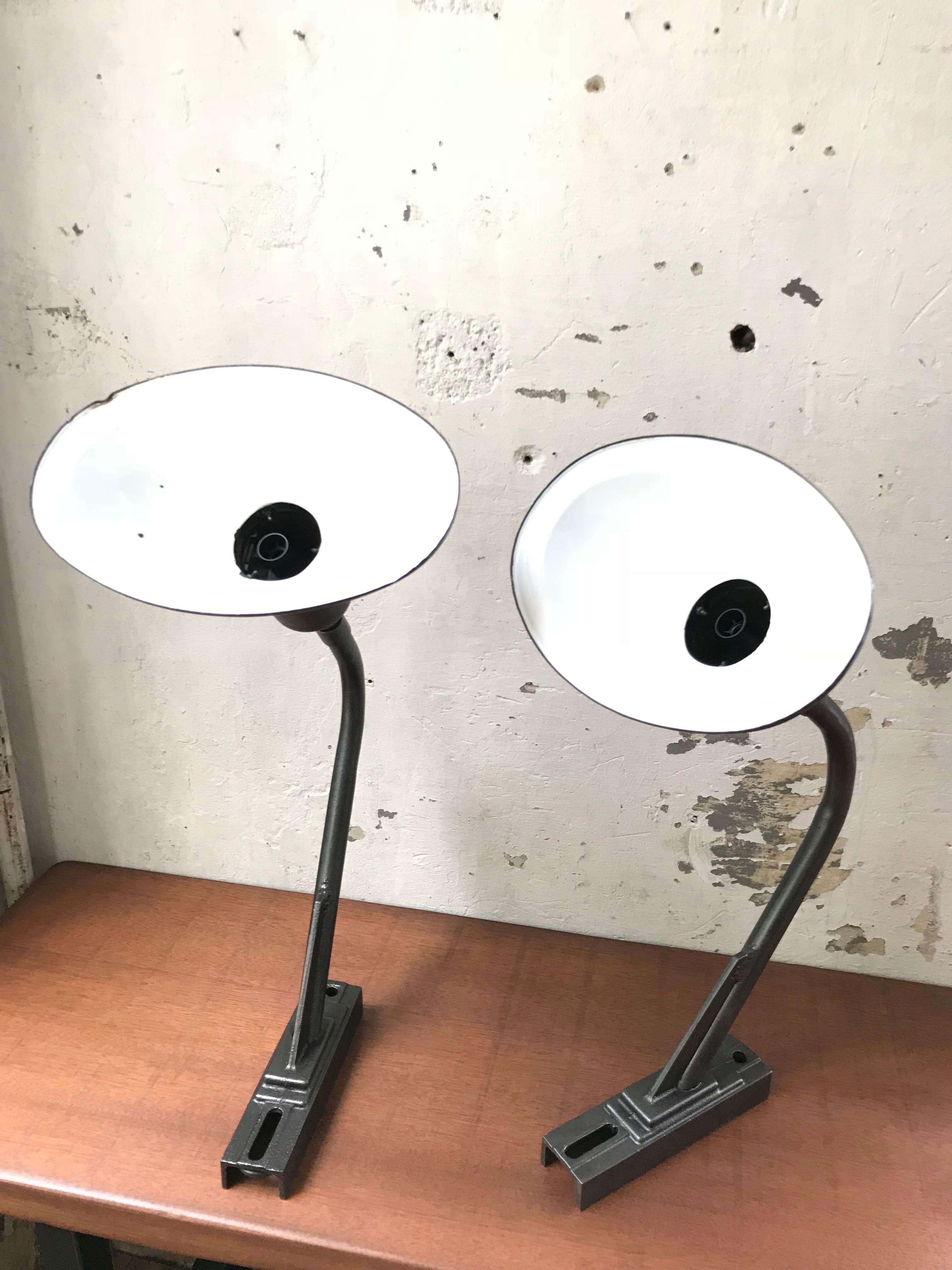 Pair of industrial lamps