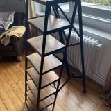 Industrial shelf ladder