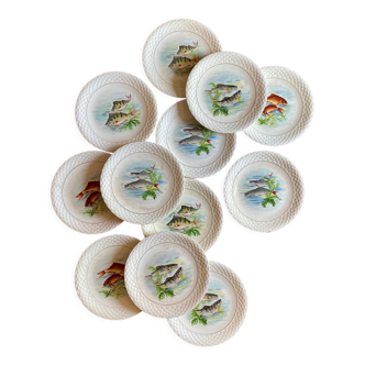 Set of 12 vintage plates fish decorations