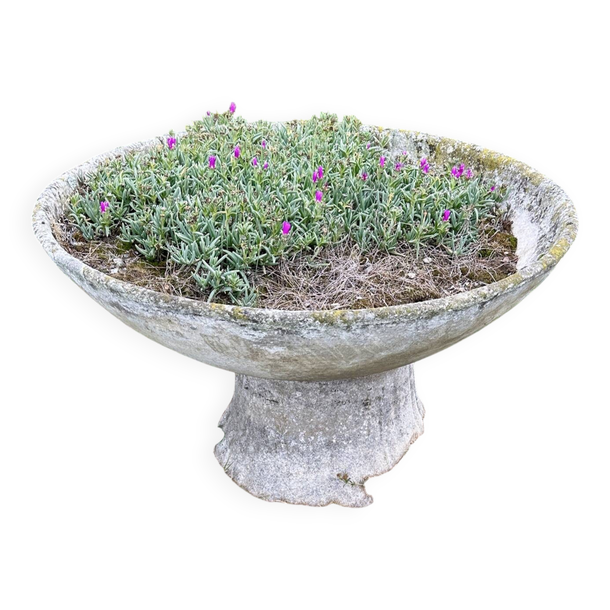 Old planter, pedestal basin by Willy Guhl