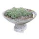 Old planter, pedestal basin by Willy Guhl