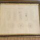 Architectural drawing 1857, glazed wood frame