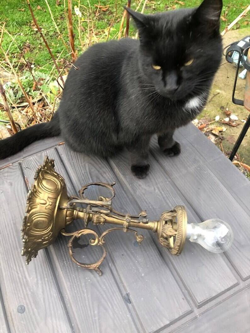 Antique French Napoleon III Brass & Bronze Opaline Glass Ceiling Light