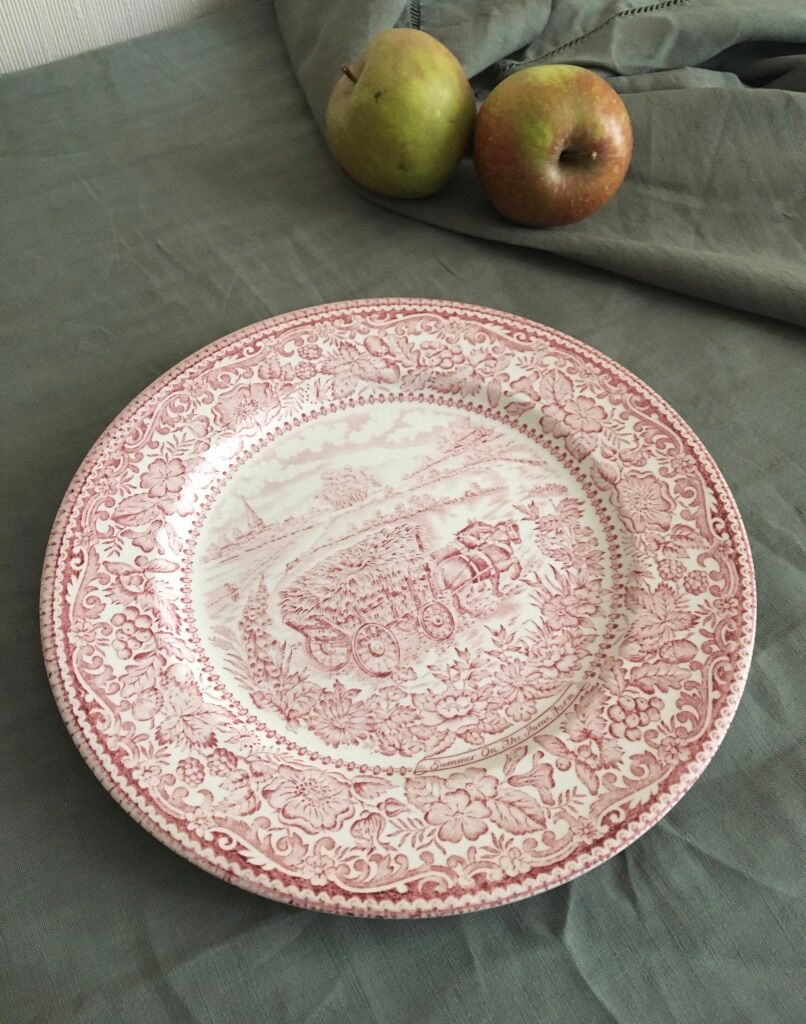 Set of 10 flat plates in English earthenware, EIT England, country décor