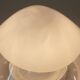 Vintage Murano Wall Lamp 1970s