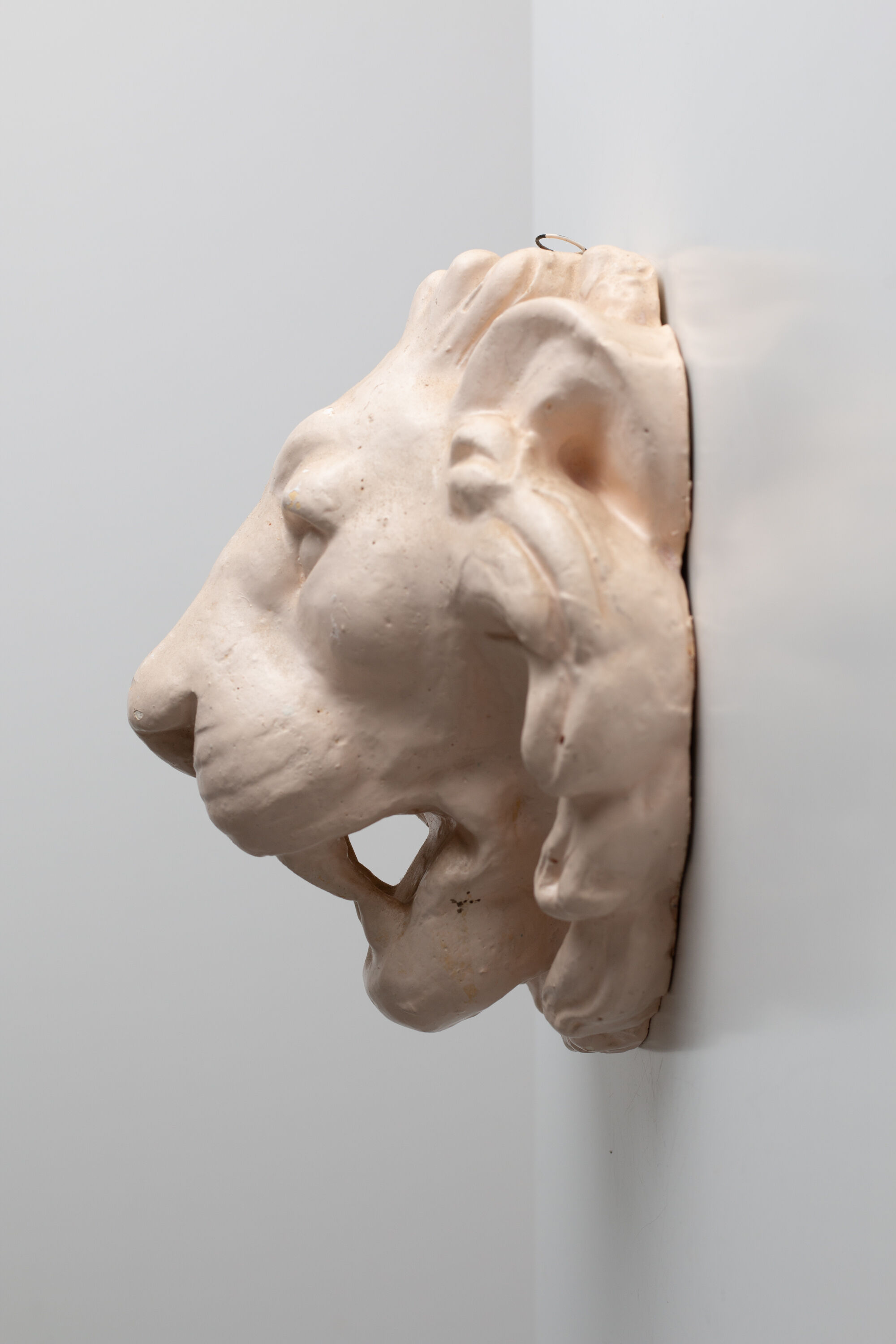 Lion's head in painted plaster