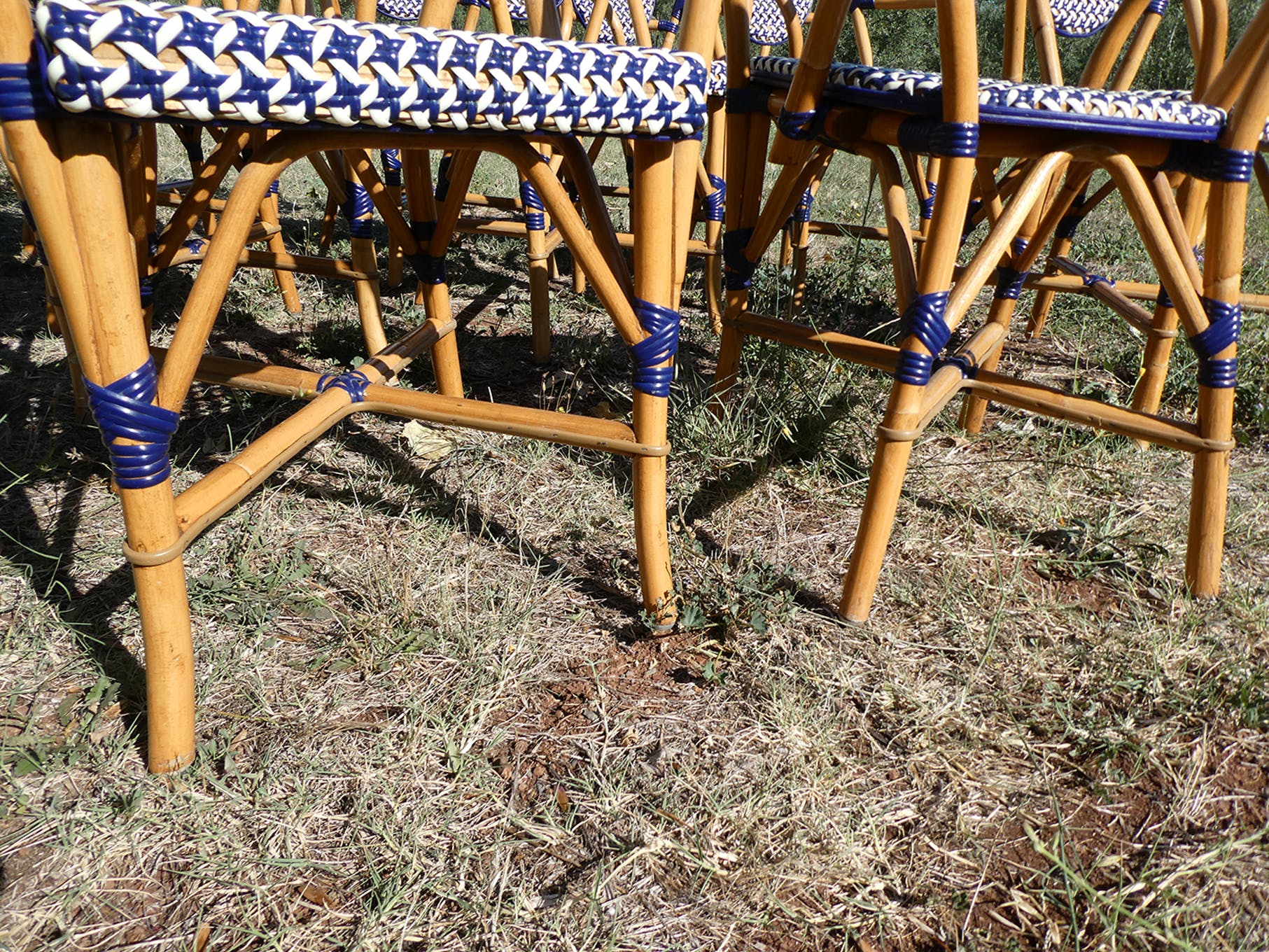 Lot de 5 fauteuils bistrot de terrasse type "parisienne" blanc et bleu