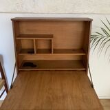 Secretary pyramidal vintage library