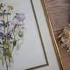Lithographie bouquet de fleurs sauvages sous cadre doré