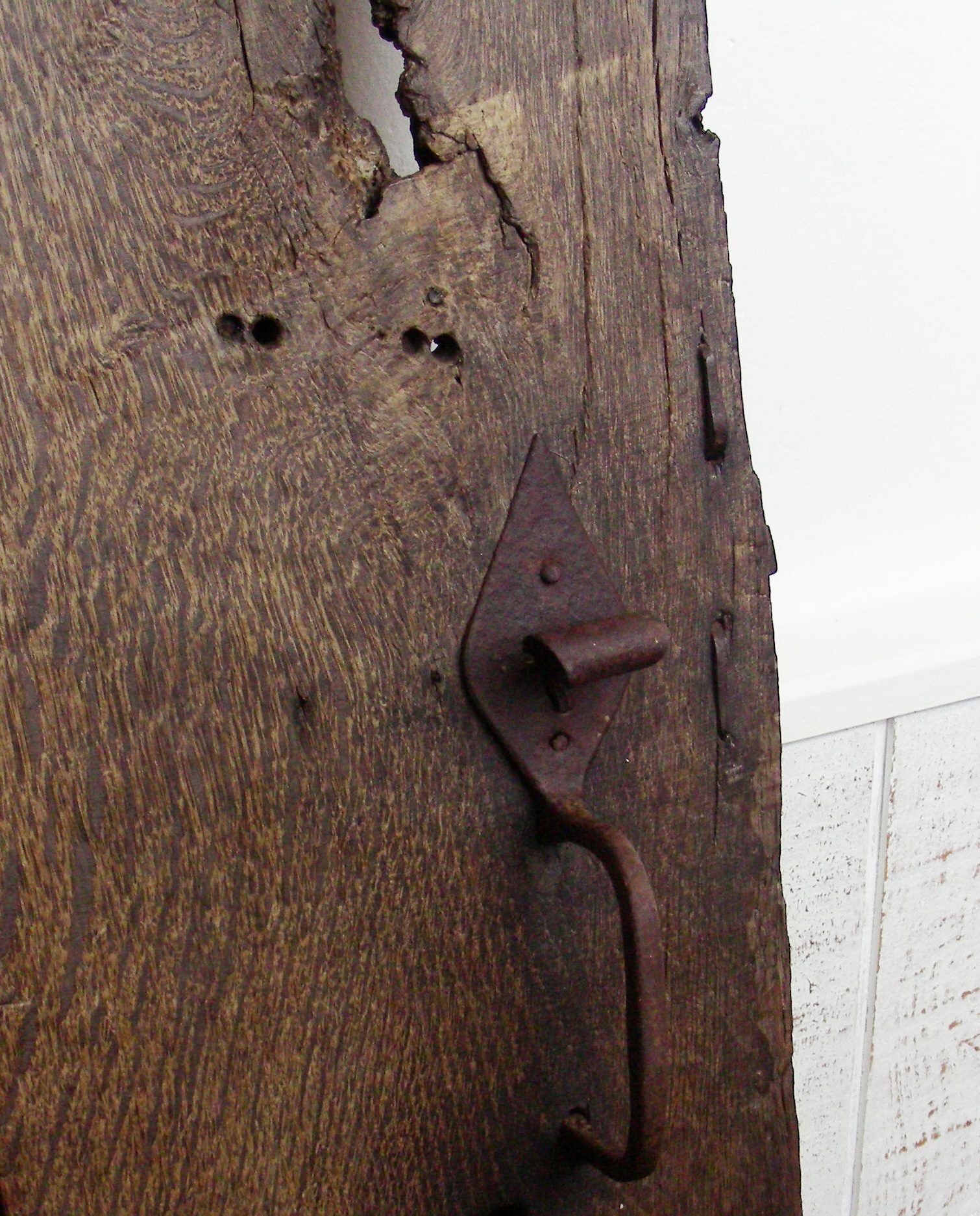 Old oak of cellar door