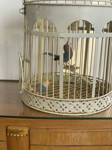 Cage à oiseaux transformé en lampe métal blanc