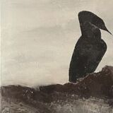 Painting les cormorans by petitjean