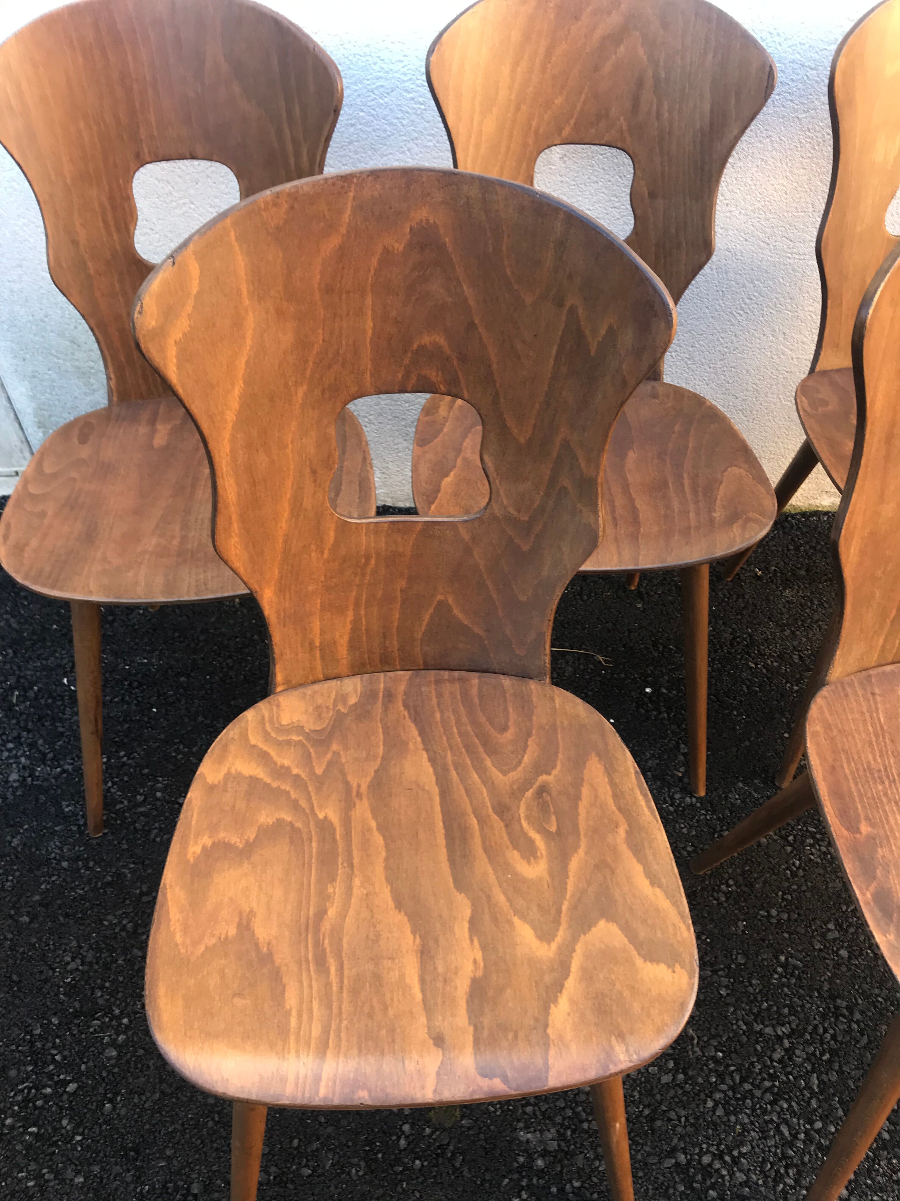 Baumann chairs " Gentian "
