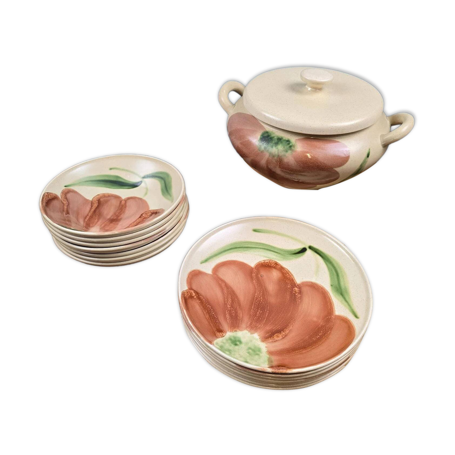 Vintage Salins Rhône service 15 pieces – Large hand-painted flowers