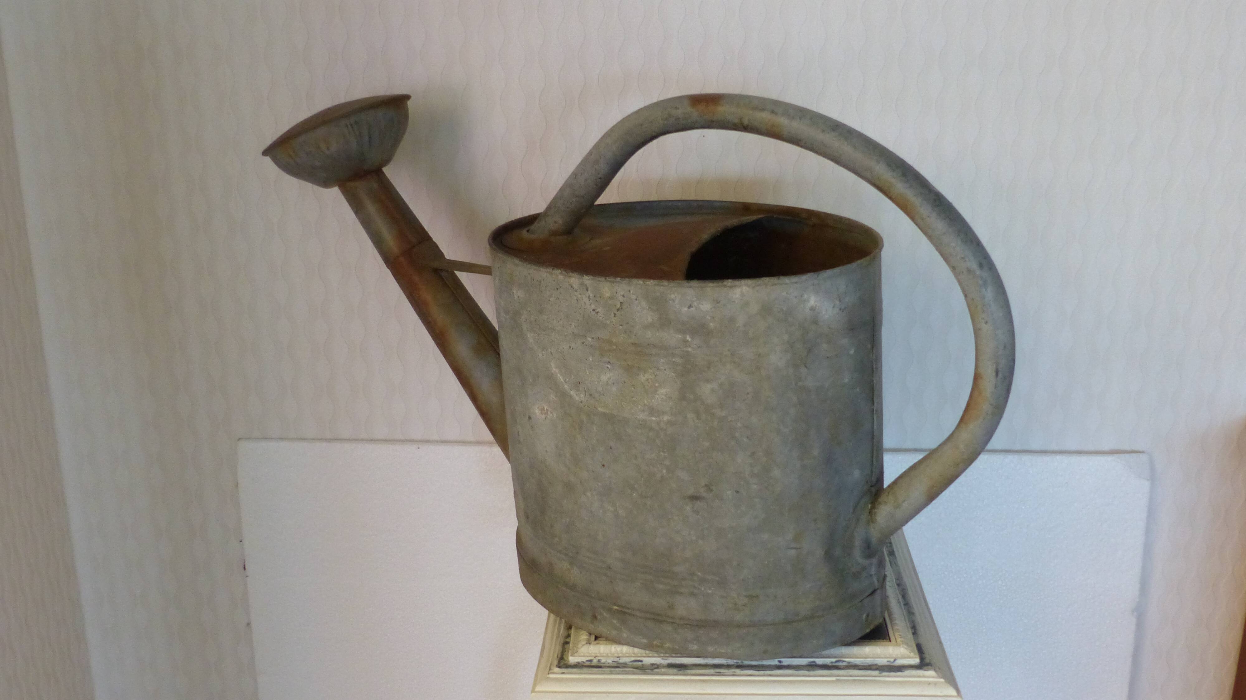 Zinc watering can
