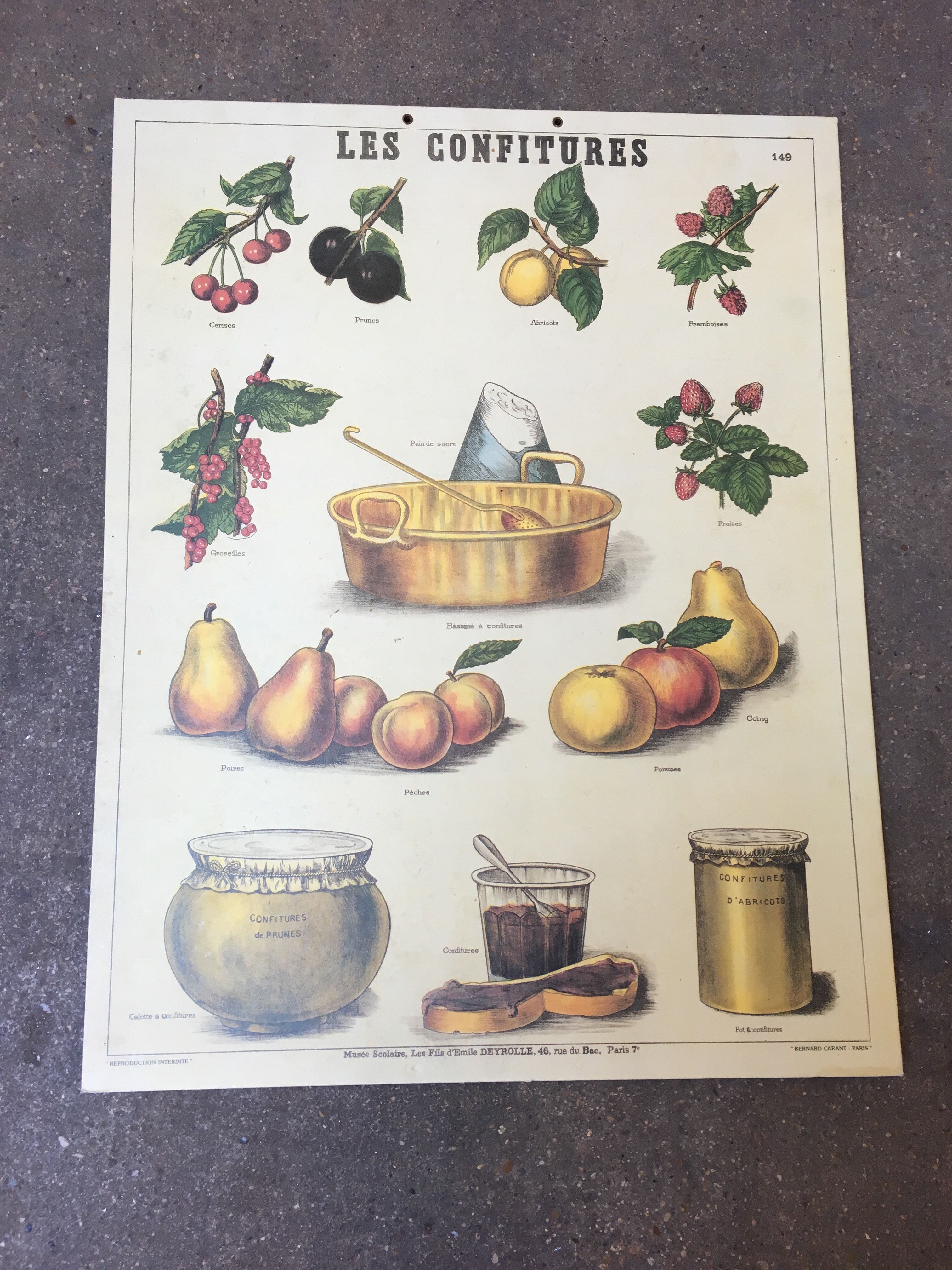 Pedagogical poster "jams" school museum of Emile Deyrolle