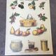 Pedagogical poster "jams" school museum of Emile Deyrolle