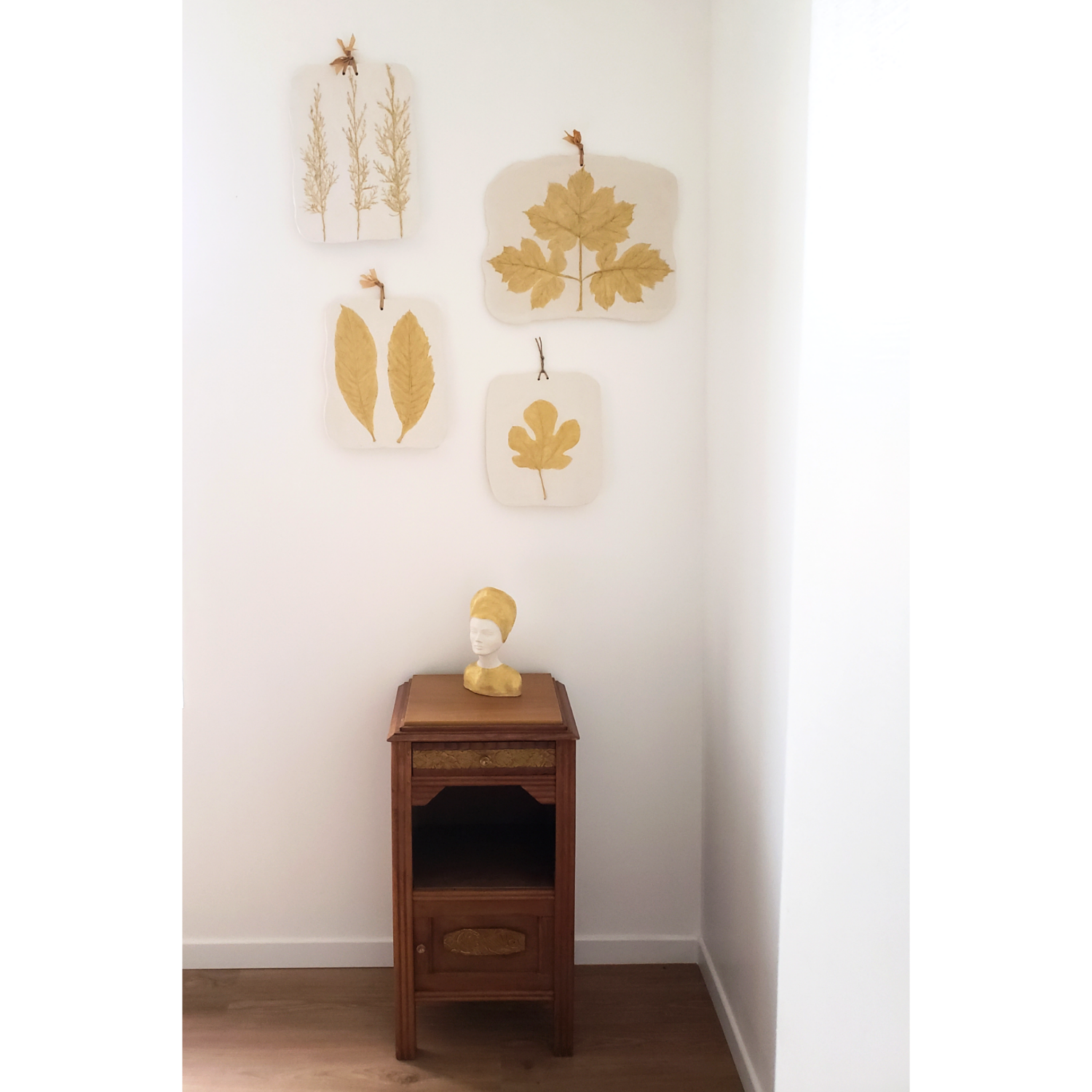 Plant table elderberry