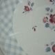 Duo d'assiettes Digoin-Sarreguemines