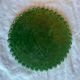 Set of 3 Vallauris trivets – Green glazed ceramic – Years