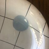 Longchamp hollow plates