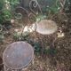 Duo of iron lawn chairs