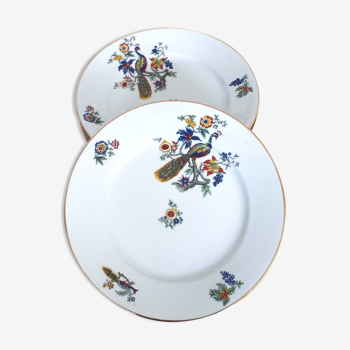 6 flat porcelain plates peacock