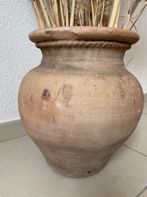 Terracotta pot