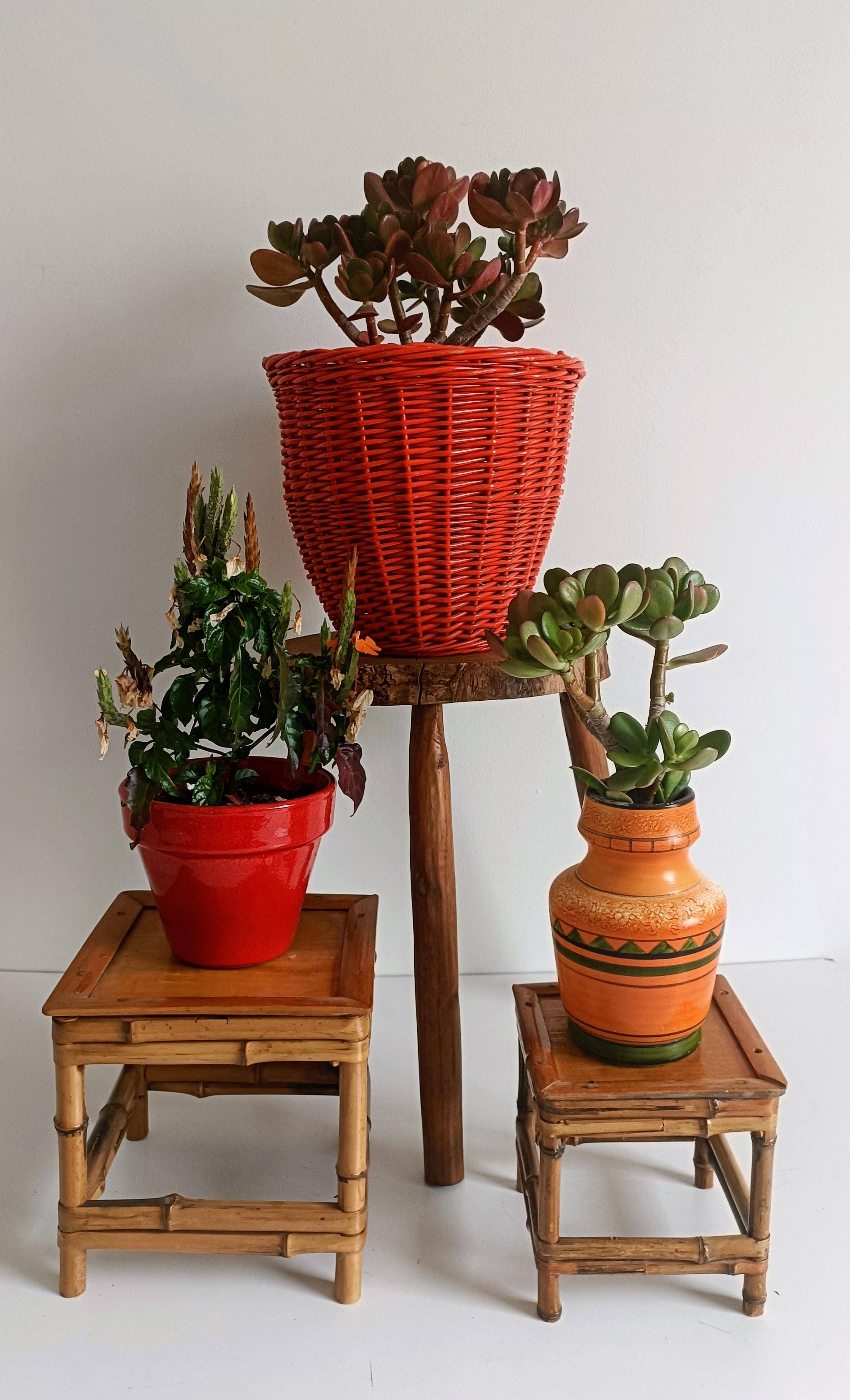 Bohemian Mid-Century Coral Red Wicker Basket, France, circa 1960s