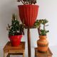 Bohemian Mid-Century Coral Red Wicker Basket, France, circa 1960s