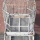 Cage à oiseaux "Fanton, Paris"