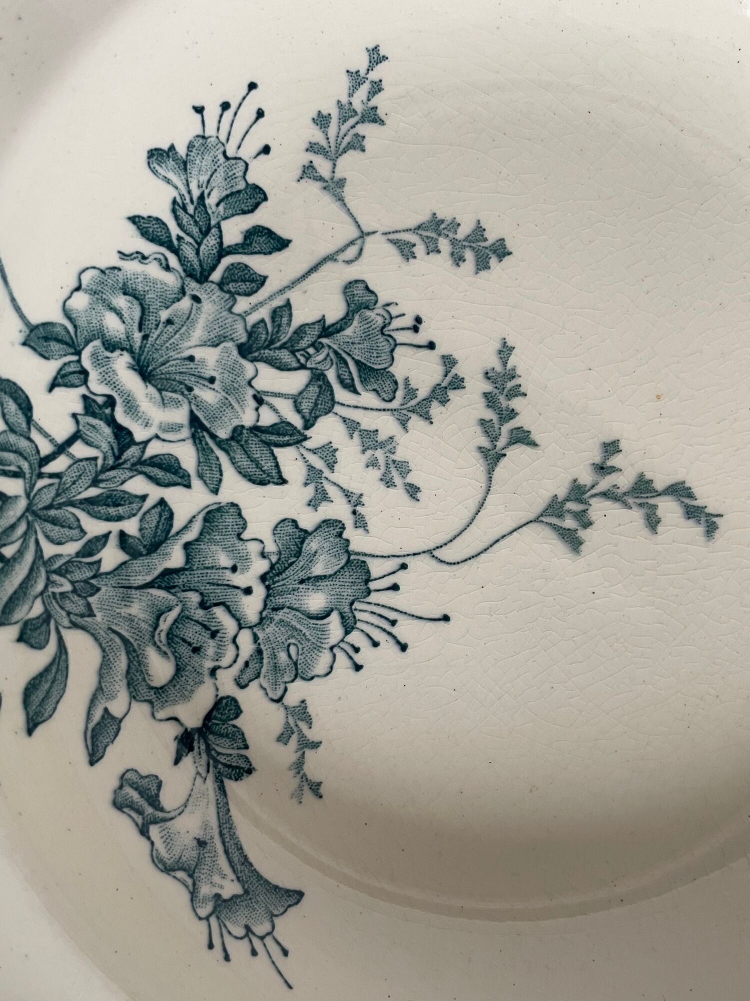 Set of 5 hollow plates Longwy art nouveau