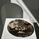 Medium petrified wood dish or pocket emptier, predominantly gray 1137