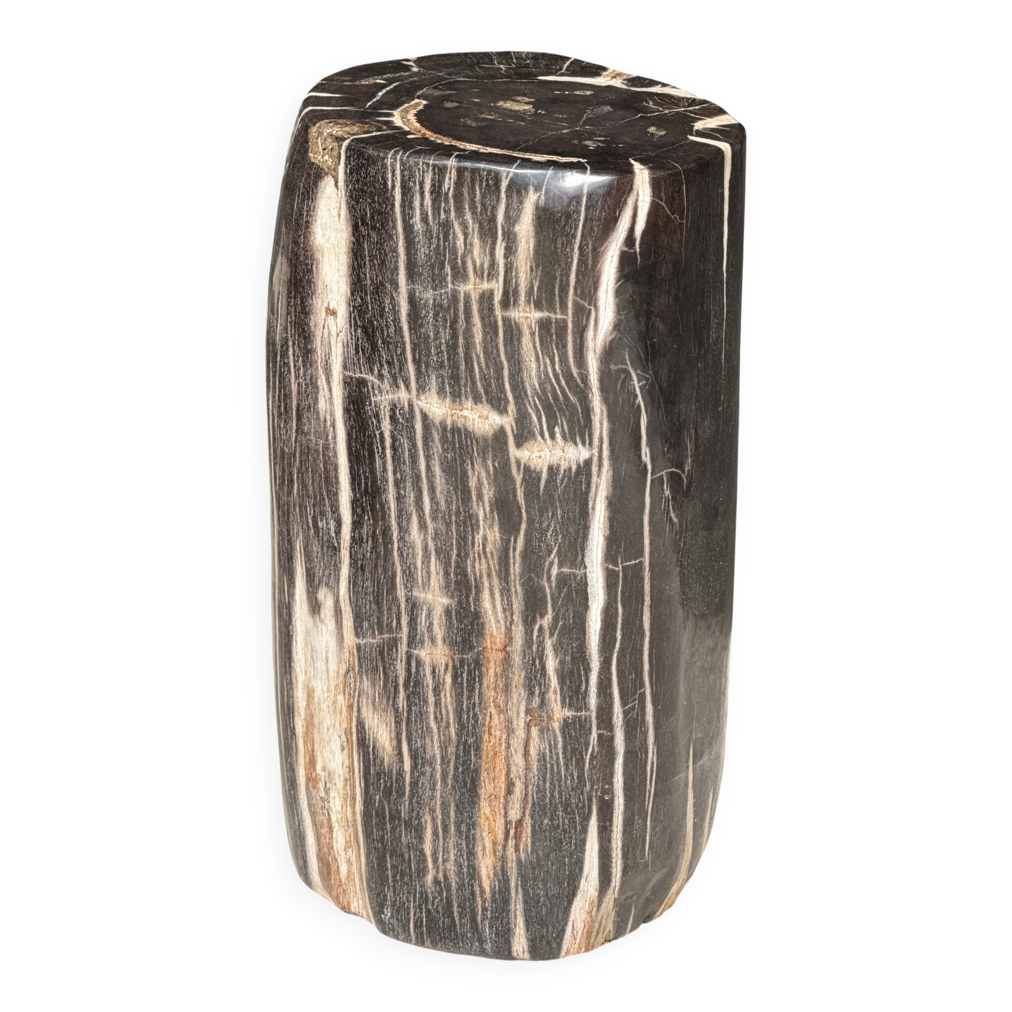 Table d'appoint en bois pétrifié noir